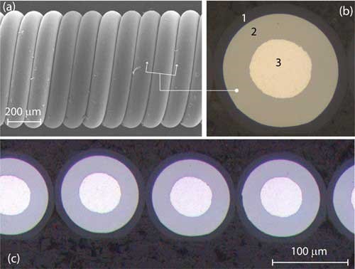 cross-sections of wire with an inner core and a polyimide coating