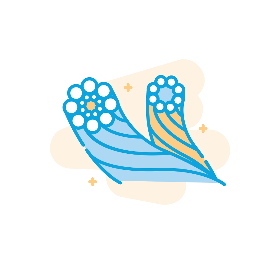 LightNull
